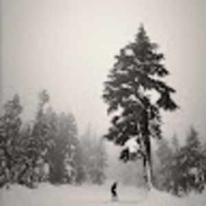 Meet your Posher, Jade